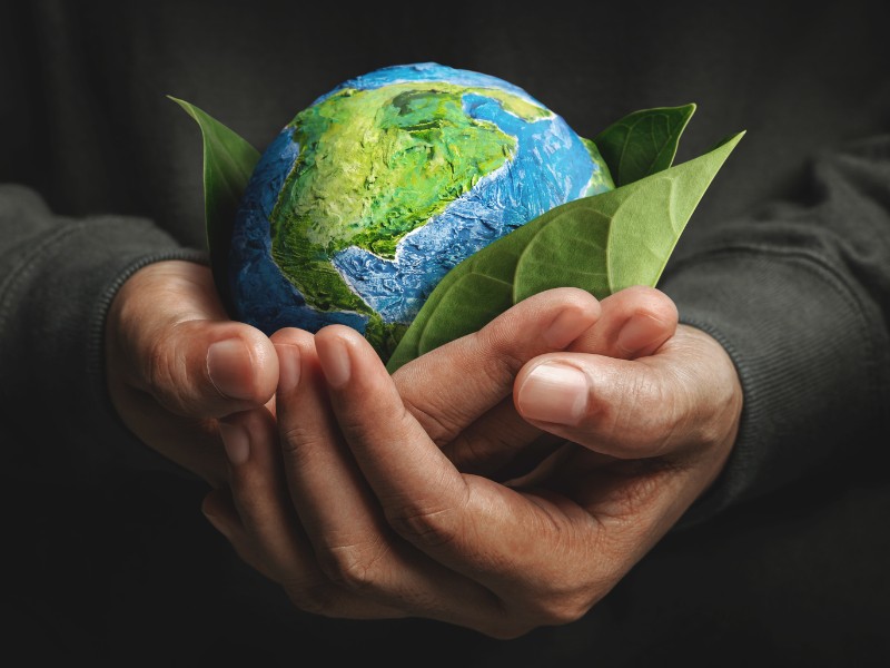 O Papel das Consultorias na Implementação de Práticas ESG