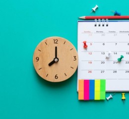 O Futuro Sustentável Já Começou: As Principais Tendências Ambientais para o 2º Semestre de 2025