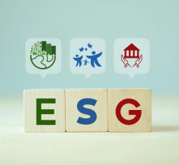 Guia ESG para empresas: do básico à implementação estratégica