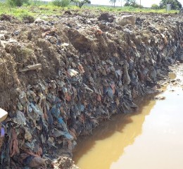 Remediação Ambiental no Setor Industrial: Casos Comuns e Soluções Inteligentes Aplicadas pela Biota-Geom
