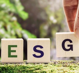 O que é ESG e por que é importante para as empresas?