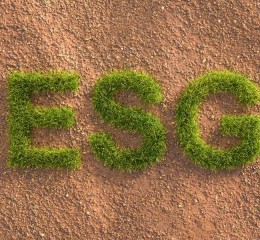 ESG gera valor? O que as empresas e os investidores estão observando
