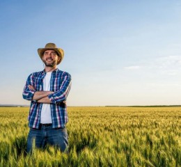 Como o ESG está transformando o agronegócio brasileiro