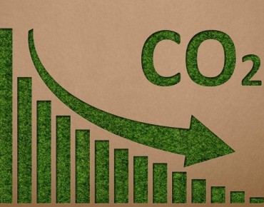 Conheça o Novo Programa Carbono Neutro Biota-Geom