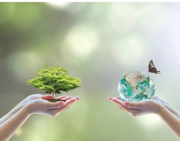 Como Avaliar a Maturidade do ESG em Sua Empresa?
