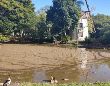 Revitalizacao de áreas de lazer projetos da Biota-Geom