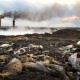Licenciamento Ambiental: PGRS para indústrias