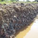 Remediação Ambiental no Setor Industrial: Casos Comuns e Soluções Inteligentes Aplicadas pela Biota-Geom