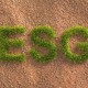 ESG gera valor? O que as empresas e os investidores estão observando