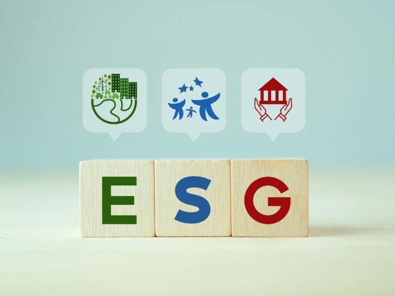 Guia ESG para empresas: do básico à implementação estratégica