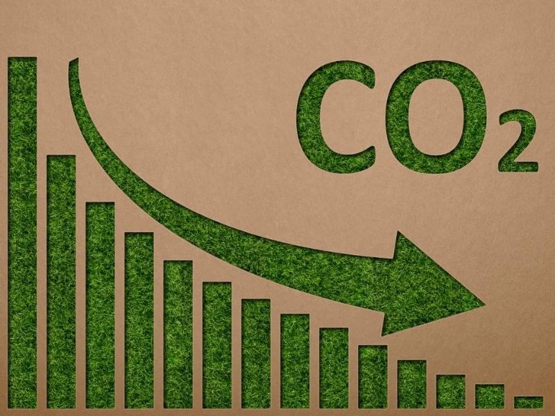 Conheça o Novo Programa Carbono Neutro Biota-Geom