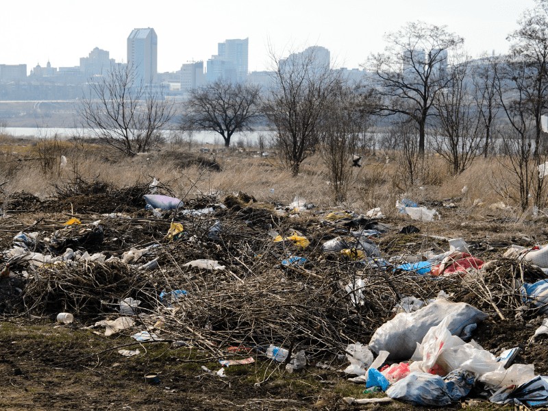 O Impacto dos Passivos Ambientais: Licenças e a necessidade da Consultoria Ambiental.