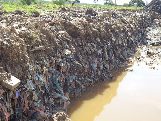Remediação Ambiental no Setor Industrial: Casos Comuns e Soluções Inteligentes Aplicadas pela Biota-Geom