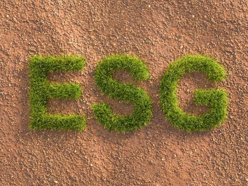 ESG gera valor? O que as empresas e os investidores estão observando
