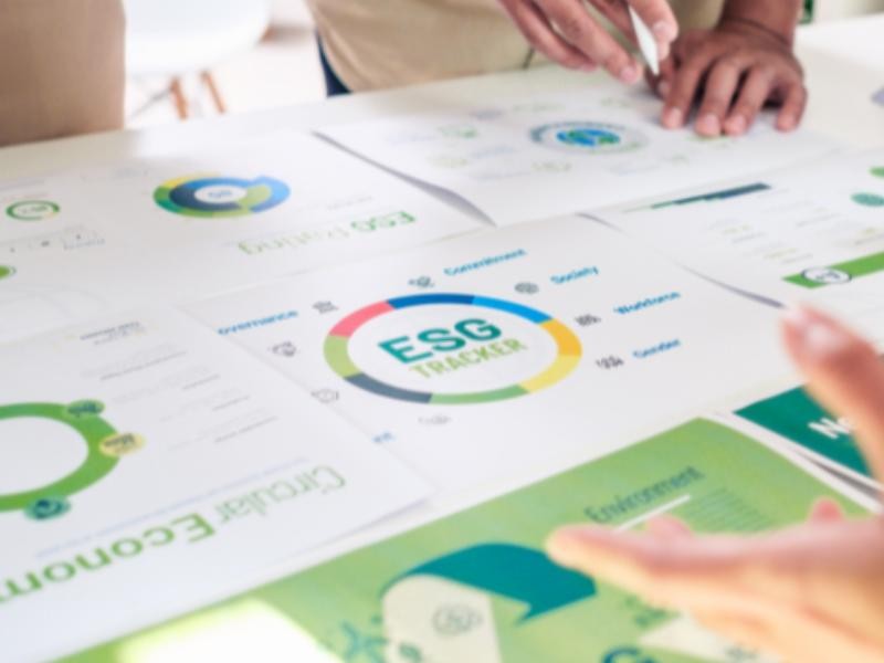 Por Que Empresas que Ignoram ESG Estão Perdendo Mercado?