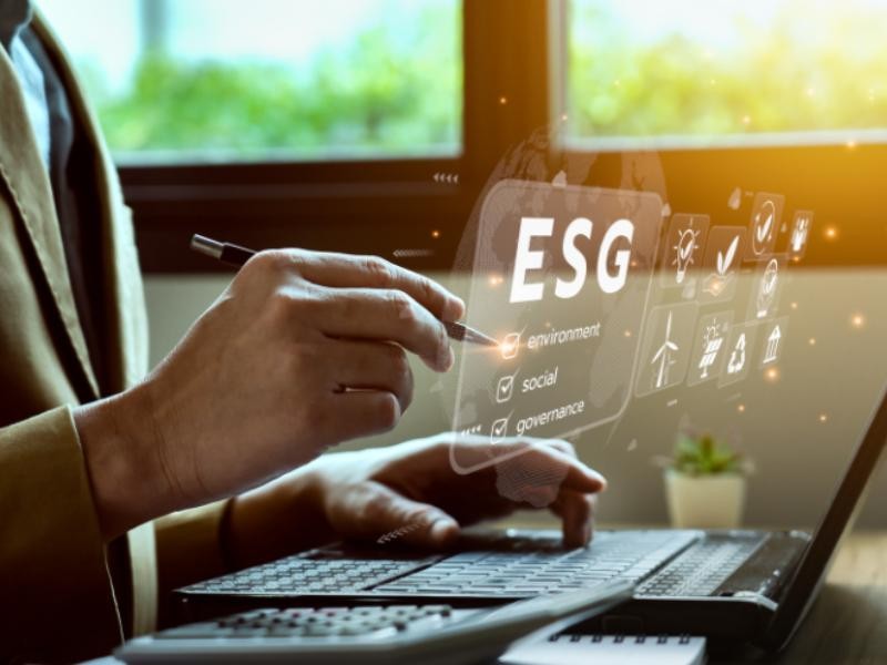 Grandes Projetos ESG no Brasil: O que Podemos Aprender?