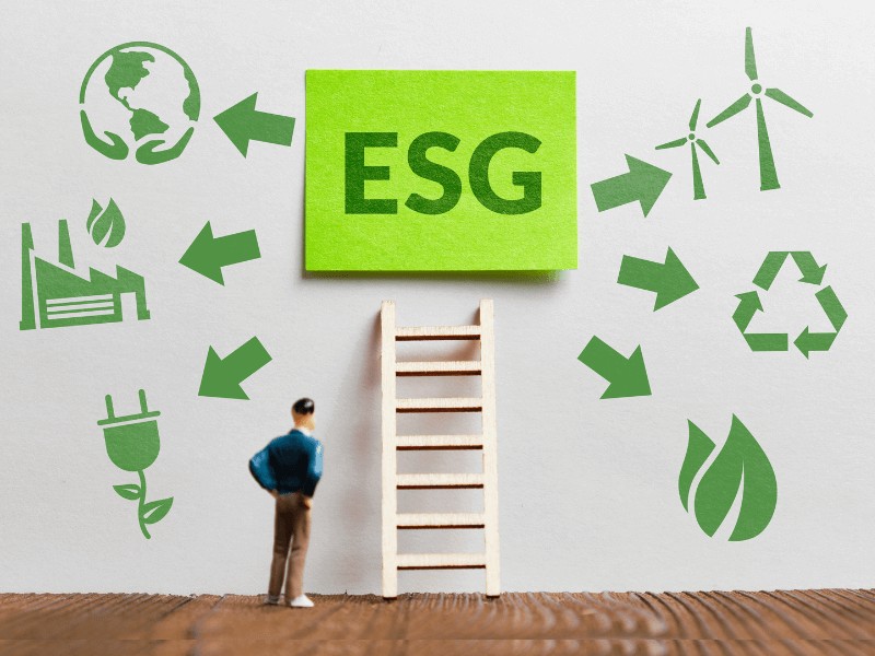 ESG na Prática: 5 Estratégias para Transformar Sustentabilidade em Vantagem Competitiva.