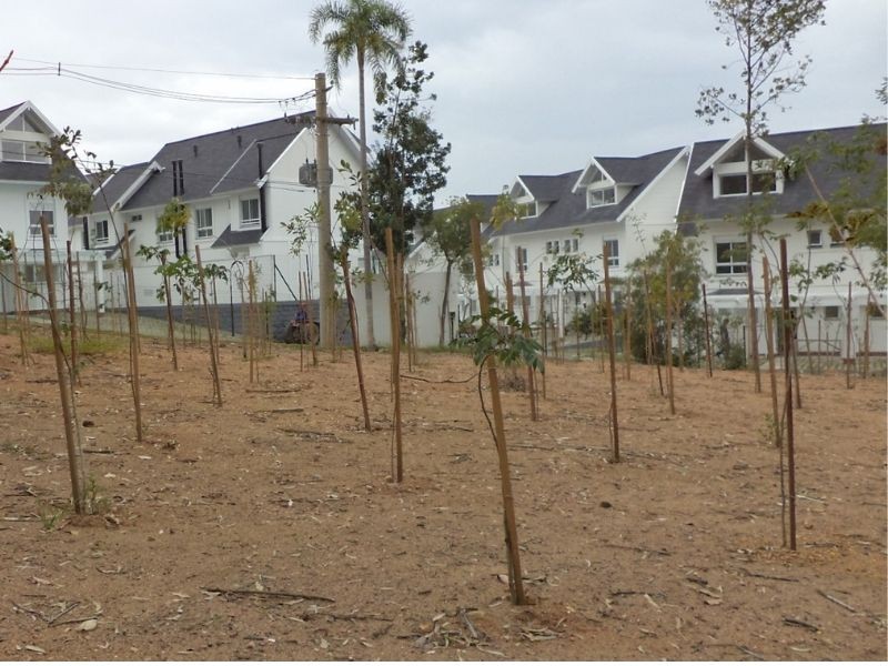 Plano de Recuperação de Área Degradada (PRAD) para Construtoras