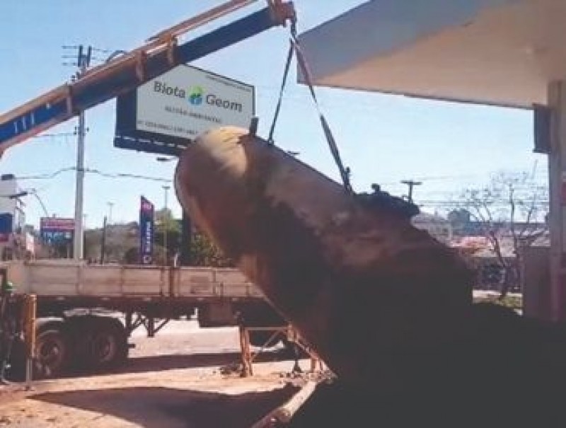 Substituição ou Remoção de Tanques de Combustíveis para Distribuidoras Farmacêuticas