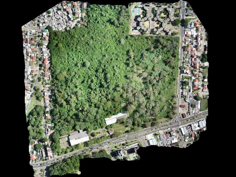 Laudo de Cobertura Vegetal para Indústrias